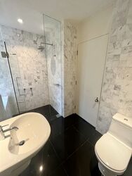 The Colonnade (D10), Condominium #395728861